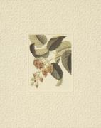 Peg Hope art print