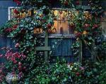 William Neill art print