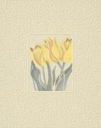 Peg Hope art print
