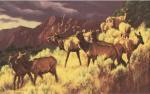 Greg Beecham art print