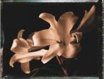Talli Rosner-Kozuch art print