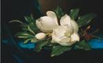 Martin Johnson Heade art print
