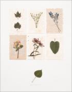 Deni Mechelle Newey art print