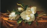 Martin Johnson Heade art print
