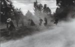 Larry Towell art print