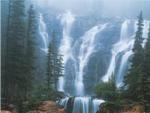 William Neill art print
