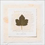 Deni Mechelle Newey art print