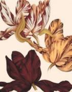 Sophie Coryndon art print