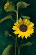 Christina Florkowski art print