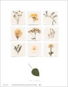 Deni Mechelle Newey art print