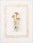 Deni Mechelle Newey art print