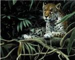 Newcomb art print