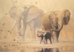 African Elephants and Doves art print