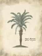 Annabel Hewitt art print