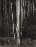 Ansel Adams art print