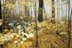 Ron Parker art print