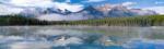 Art Wolfe art print