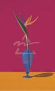 Bird of Paradise art print