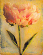 Maron art print