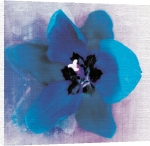 Erin Clark art print - Blue Flower poster