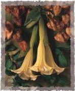 Jim Frankoski art print
