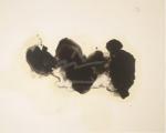 Robert Motherwell art print