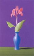 Canna art print