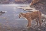 John Seerey-Lester art print