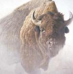 Robert Bateman art print