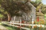 Dan Campanelli art print