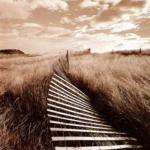 Michael Kahn art print