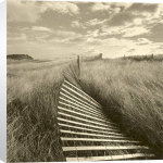 Michael Kahn art print - Dune Fence poster
