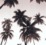 John Douglas art print