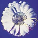 Andy Warhol art print