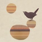 Fly on the Wall art print