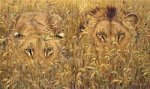 Guy Coheleach art print