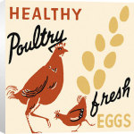 Retro Series art print - Fresh Eggs poster