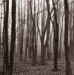 Erin Clark art print