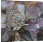 Perry King art print - Gossamer poster