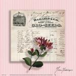 Marie Frederique art print