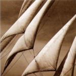 Michael Kahn art print