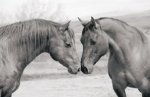 Albracht art print