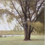 John Folchi art print