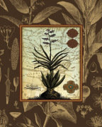 Rattner art print