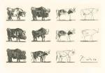 Pablo Picasso art print
