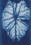 Hager art print