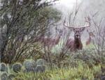 John Banovich art print