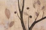 Mary Calkins art print