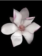 Joyce Tenneson art print
