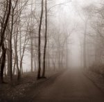Memory Lane art print